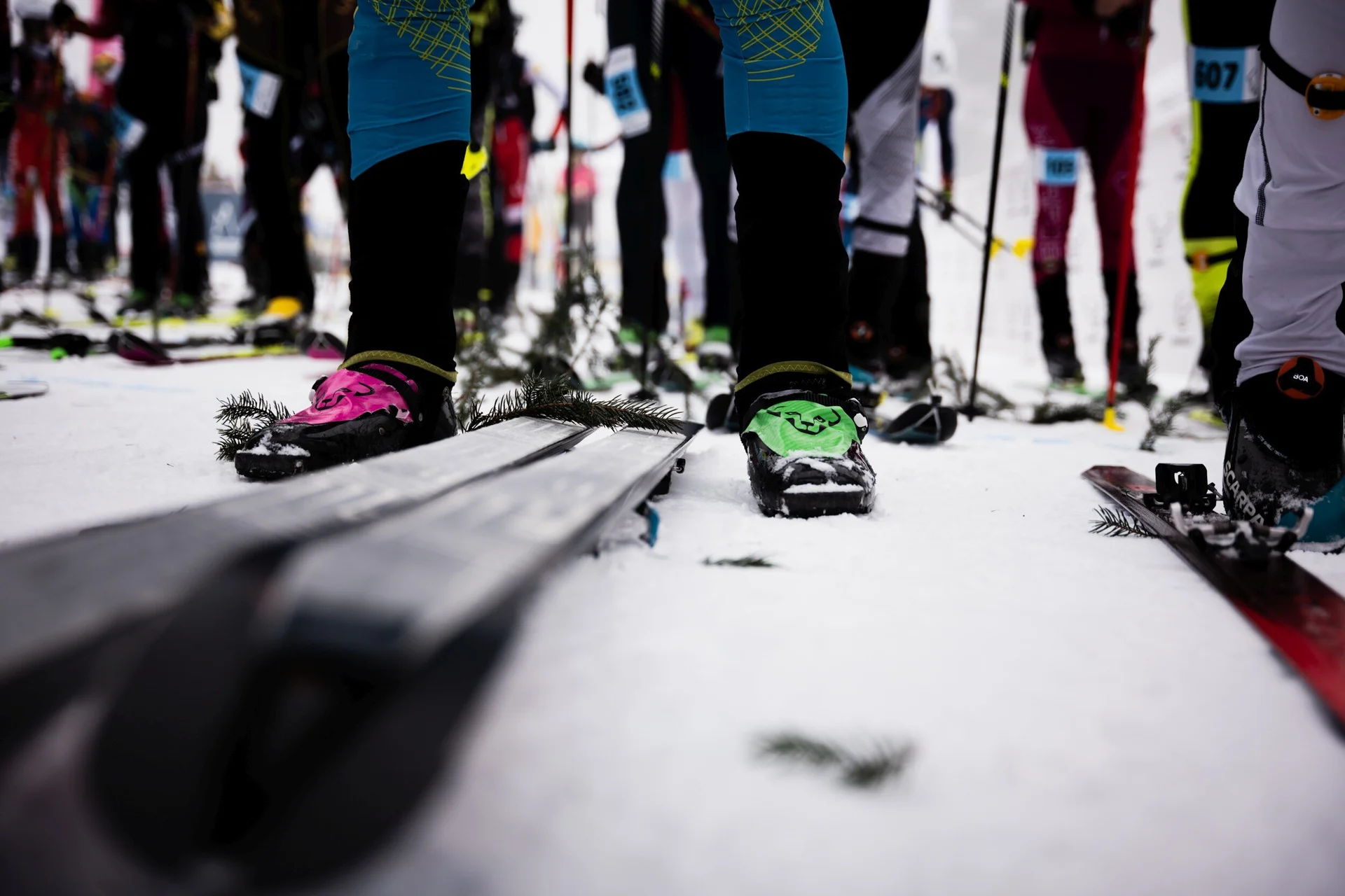 © the.adventure.bakery