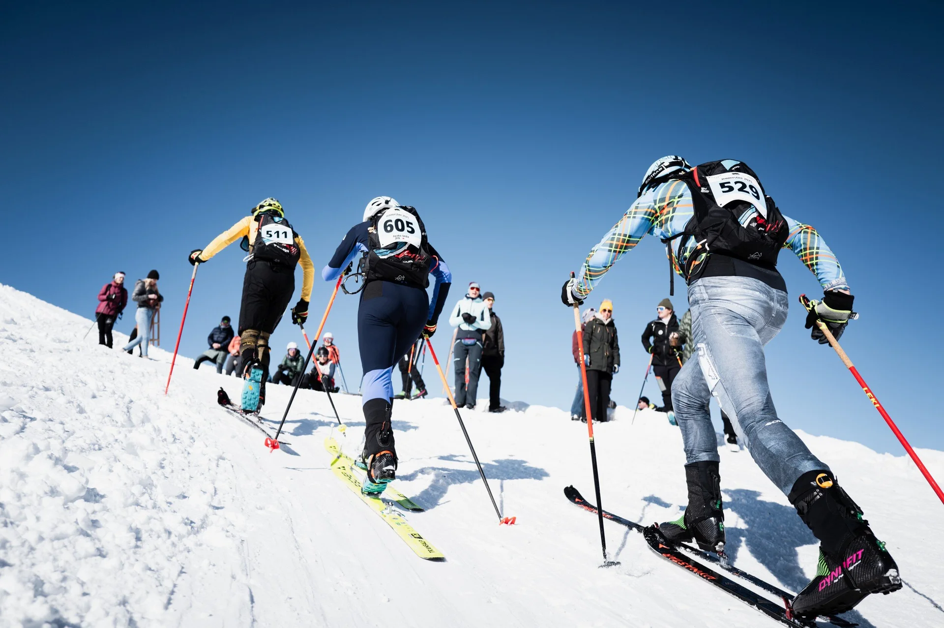 © the.adventure.bakery