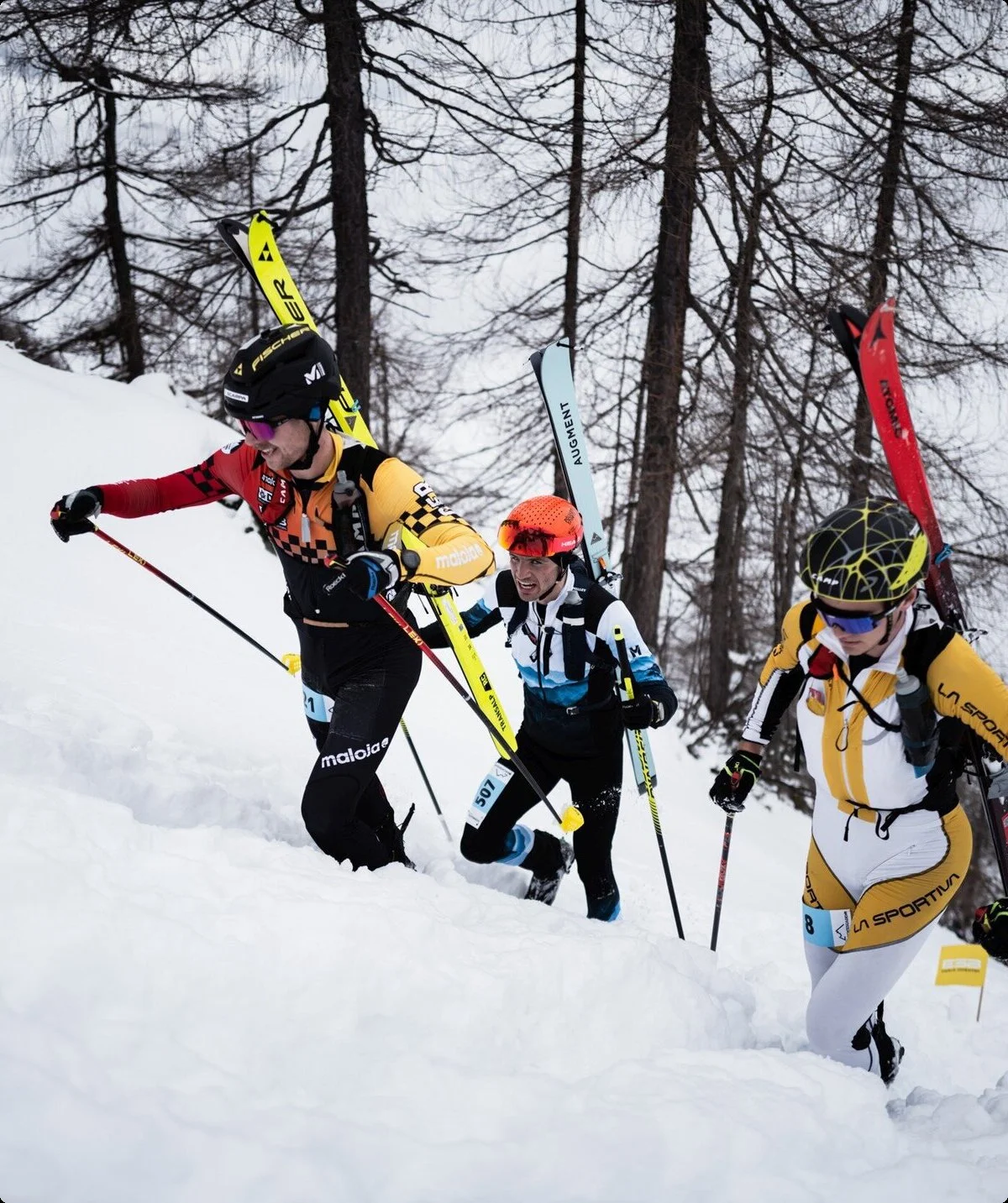 © the.adventure.bakery