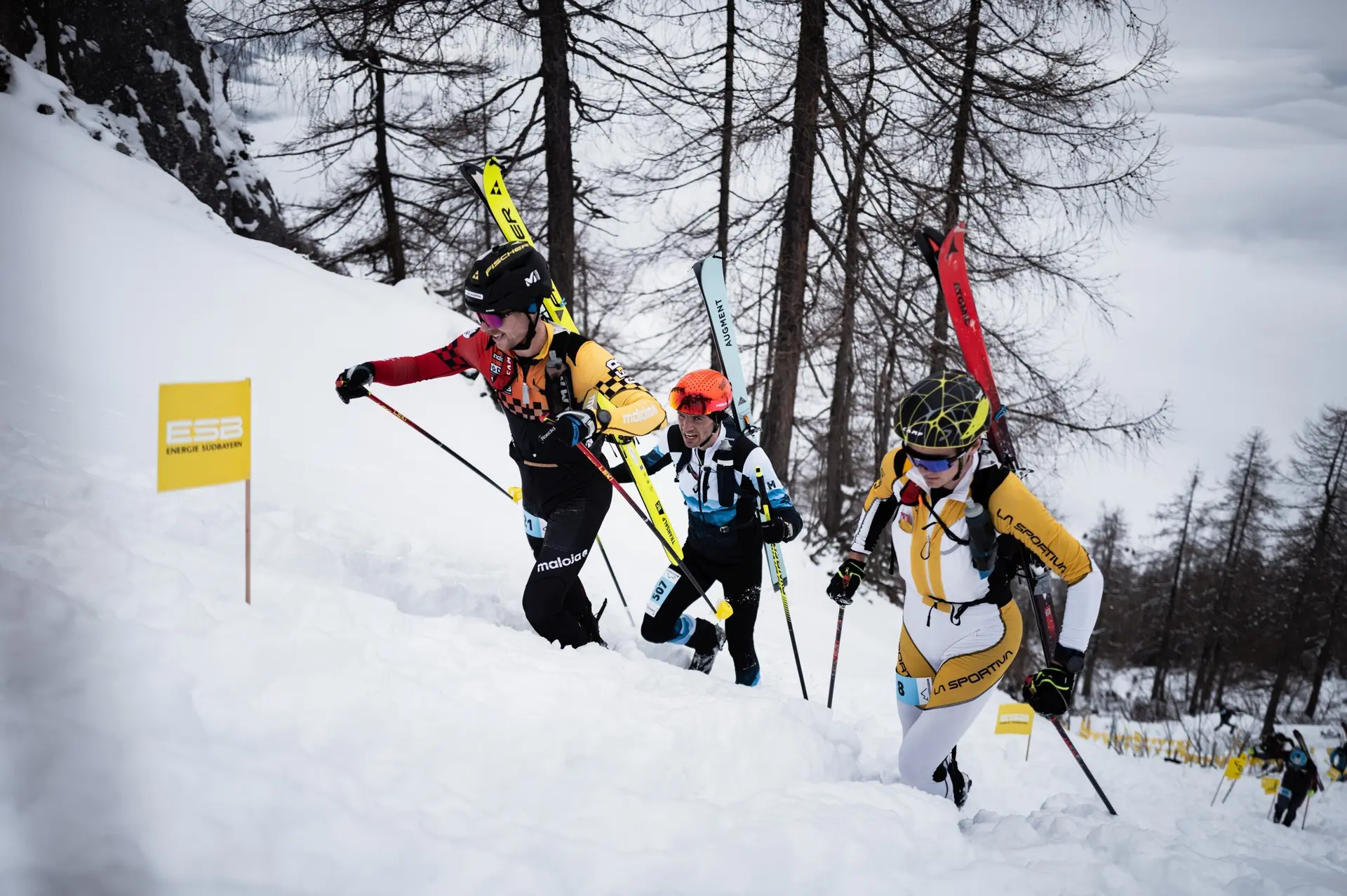 © the.adventure.bakery