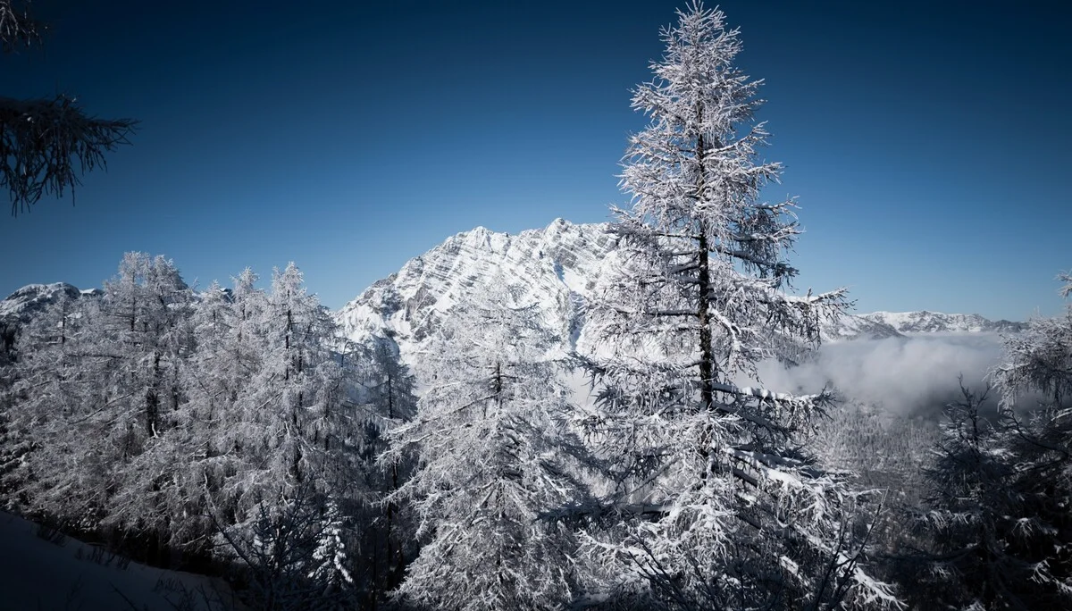 © the.adventure.bakery