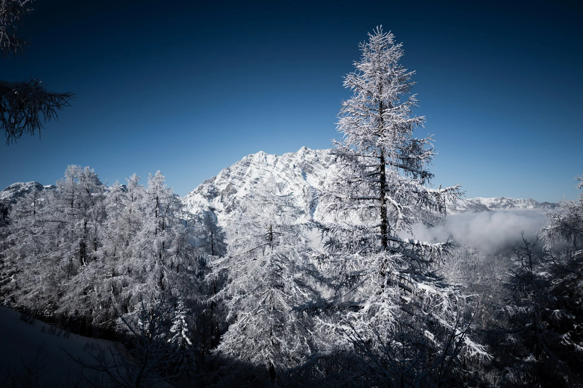 © the.adventure.bakery