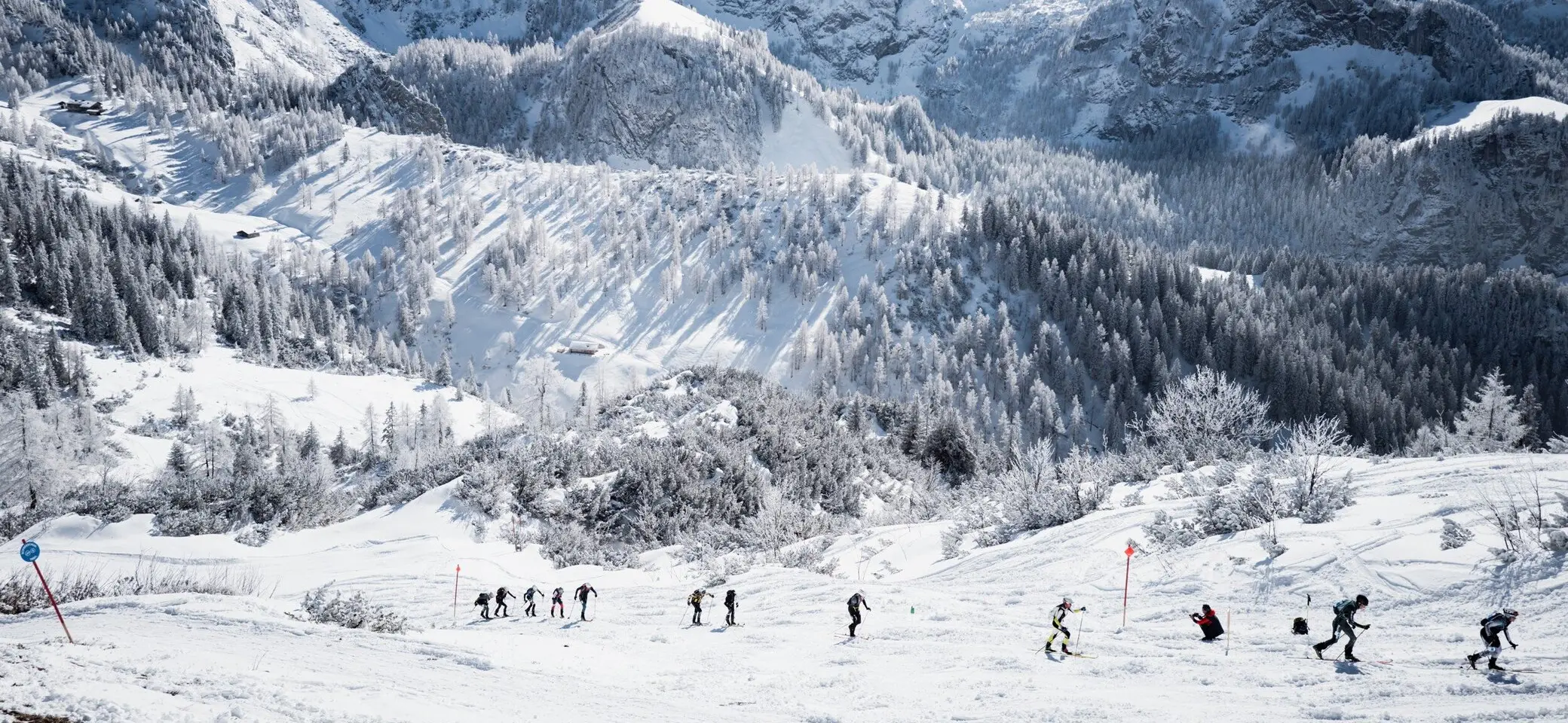 © the.adventure.bakery