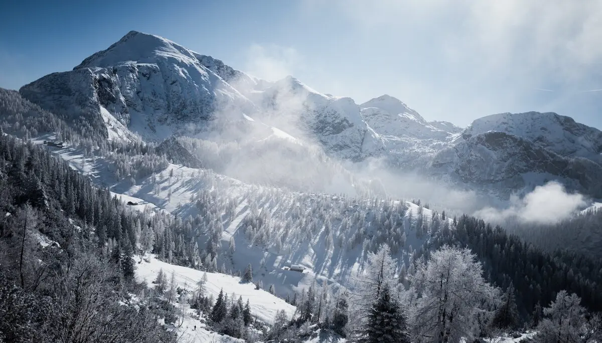 © the.adventure.bakery