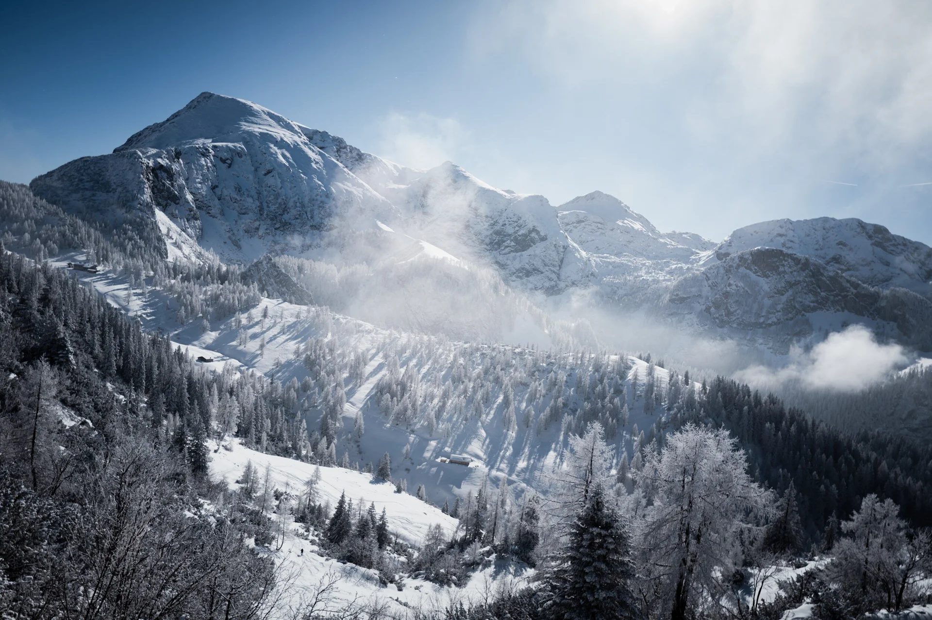 © the.adventure.bakery