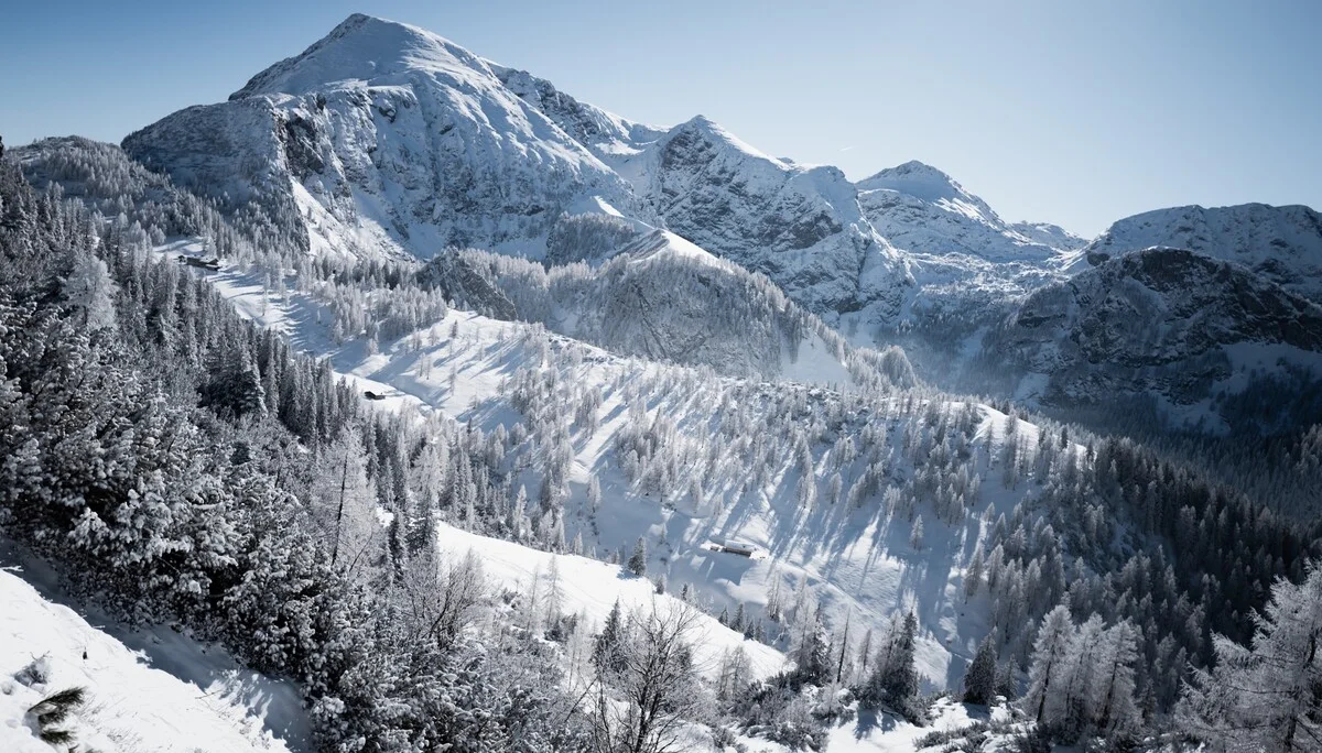 © the.adventure.bakery