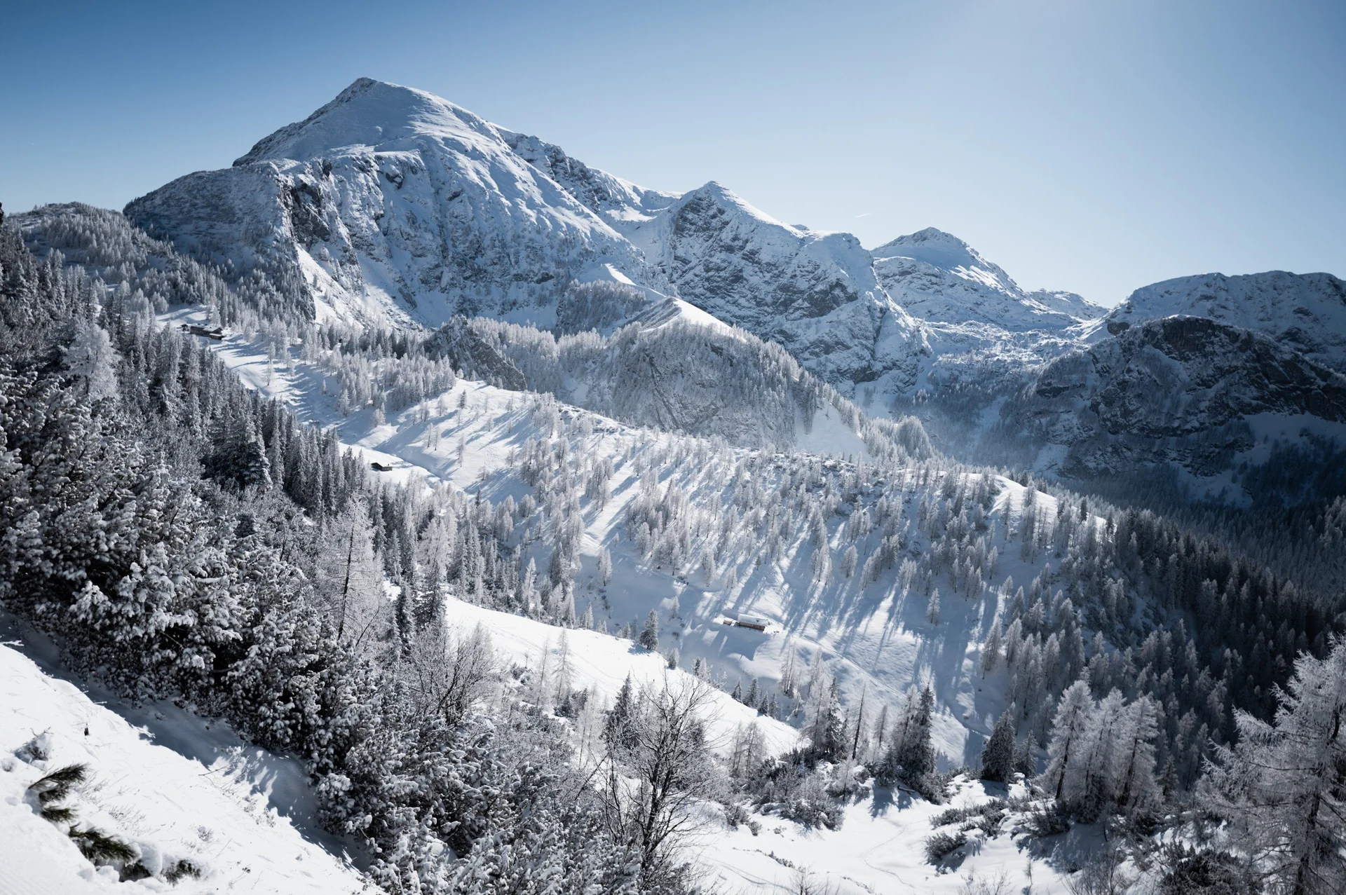 © the.adventure.bakery