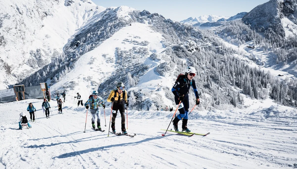 © the.adventure.bakery