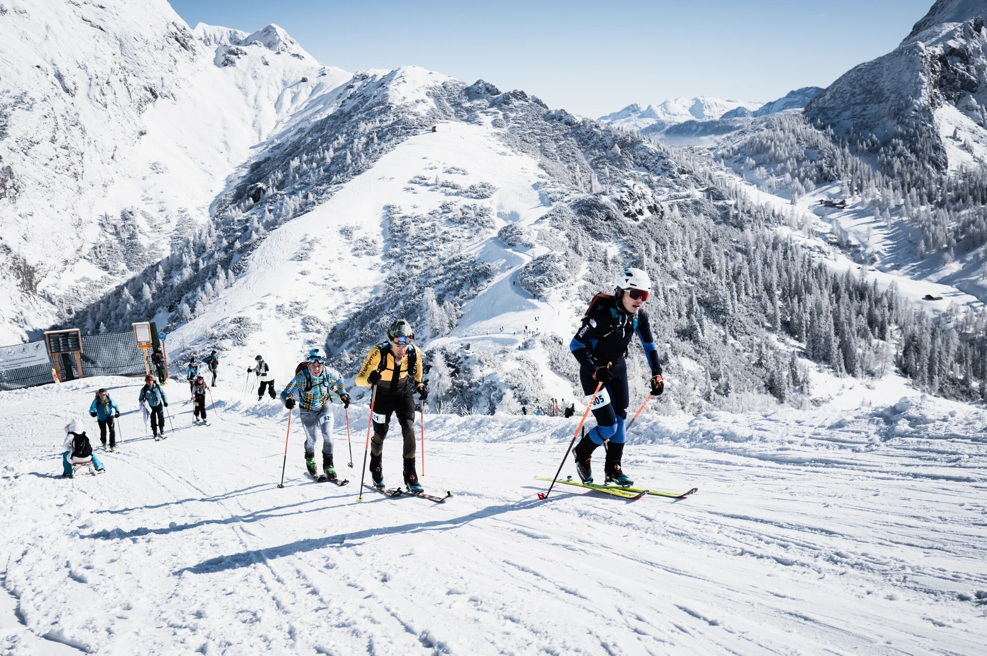 © the.adventure.bakery